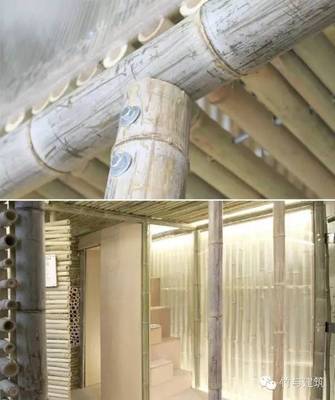 竹構新思 香港蝸居困境下的可持續建筑探索