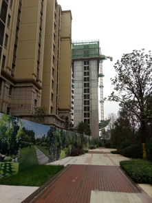 金輝上東區·金輝公園里項目房屋質量問題亟待解決